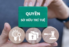Kết luận của Bộ Chính trị về đẩy mạnh công tác sở hữu trí tuệ phục vụ phát triển kinh tế - xã hội trong tình hình mới