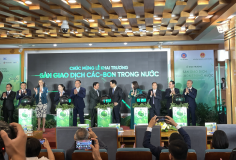 Chính thức vận hành sàn giao dịch carbon trong nước