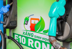 Xăng E10 tăng tốc phủ sóng toàn quốc: Thêm 6 doanh nghiệp tham gia pha chế, nguồn cung tiếp tục được củng cố