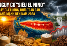 Siêu El Nino có thể đẩy giá lương thực toàn cầu tăng mạnh