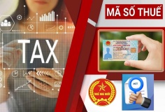 Ngành Thuế tăng tốc chiến dịch 'Làm sạch mã số thuế', rà soát hơn 617.000 doanh nghiệp