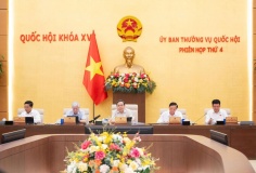 Sửa đổi Luật Bưu chính để phát triển hạ tầng kinh tế số