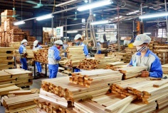 Ngành gỗ Việt Nam tìm động lực tăng trưởng mới từ châu Âu và châu Á