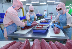 CPTPP thúc đẩy kết nối thương mại và đầu tư trong giai đoạn mới