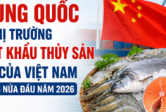 Trung Quốc là thị trường xuất khẩu thủy sản lớn của Việt Nam