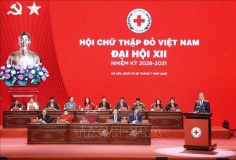 Tổng Bí thư, Chủ tịch nước Tô Lâm: Chuyển mạnh từ cứu trợ tình thế sang chủ động phòng ngừa