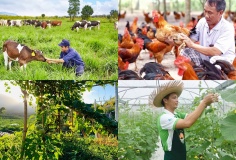 Chính sách mới có hiệu lực từ tháng 8/2026