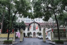 Bộ KH&CN là đầu mối quản lý, điều phối Mạng lưới chuyên gia AI Việt Nam toàn cầu