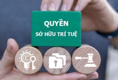 Tăng cường chế tài xử lý các hành vi xâm phạm quyền, vi phạm pháp luật về sở hữu trí tuệ