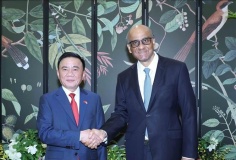 Việt Nam - Singapore thúc đẩy hợp tác AI, bán dẫn, tài chính xanh