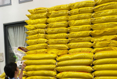 Cà Mau: Xử phạt 16 triệu đồng, tịch thu hơn 1.200kg gạo không rõ nguồn gốc