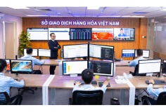 Sở giao dịch hàng hóa phải cung cấp dữ liệu giao dịch theo thời gian thực