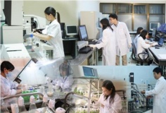 11 nhóm vị trí công tác lĩnh vực khoa học, công nghệ tại chính quyền địa phương phải định kỳ chuyển đổi