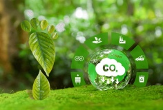 Đã có 1.310 hạn ngạch được giao dịch trên sàn carbon trong nước sau hơn 2 tháng