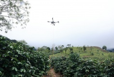 Đưa UAV vào vận chuyển hàng hóa nông sản tại Điện Biên