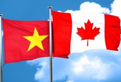 Thương mại Việt Nam – Canada khởi sắc, dư địa hợp tác vẫn rộng mở
