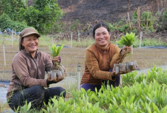 Khoa học công nghệ tạo động lực mới cho xuất khẩu nông sản