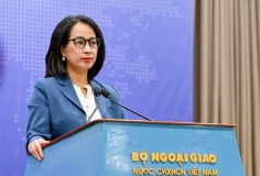 Việt Nam luôn nỗ lực bảo vệ quyền sở hữu trí tuệ trong nước và nước ngoài