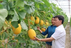 Hà Tĩnh tuyển chọn 7 nhiệm vụ khoa học, công nghệ và đổi mới sáng tạo năm 2026