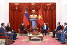 Tổng Bí thư, Chủ tịch nước Tô Lâm tiếp Thủ tướng Liechtenstein