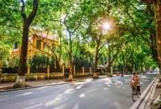 Việt Nam đứng thứ 4 trong danh sách điểm đến mùa thu nổi bật thế giới