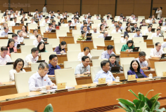 Bổ sung chính sách miễn thuế, điều chỉnh thuế sử dụng đất phi nông nghiệp