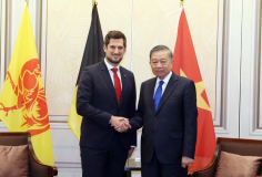 Tổng Bí thư, Chủ tịch nước Tô Lâm tiếp Bộ trưởng-Thủ hiến vùng Wallonie