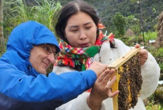 Cô gái Cờ Lao đưa nông sản Cao nguyên đá vươn xa nhờ chuyển đổi số