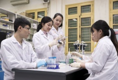 Nhóm nghiên cứu mạnh tại đại học sẽ được đánh giá theo tiêu chí nào?