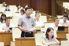 Quyết liệt thực hiện nhiệm vụ về xây dựng vị trí việc làm