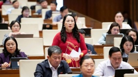 Đại biểu Quốc hội đề nghị tấn công mạnh tội phạm công nghệ cao, hàng giả, thực phẩm bẩn