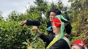 Văn hóa Việt thắp sáng kinh tế xanh