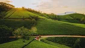 Phú Thọ: Long Cốc - “Bồng lai tiên cảnh mỗi sớm mai” - thu hút du khách