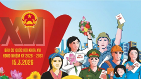 Quy trình 6 bước bỏ phiếu bầu cử Quốc hội, HĐND, cử tri cần biết