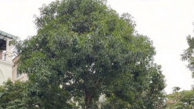 Khởi nghiệp ở tuổi 20 với VinFast VF 8, chủ xe khẳng định: Đây là quyết định đúng đắn nhất của tôi