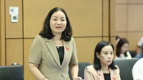 Đại biểu nêu bất cập khi dịch vụ công số 