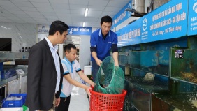 Tăng cường chuyển đổi số trong xây dựng nông thôn mới trên địa bàn tỉnh Quảng Trị