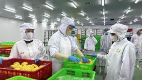 Khoa học, công nghệ là 'chìa khóa' chuyển đổi mô hình tăng trưởng nông nghiệp