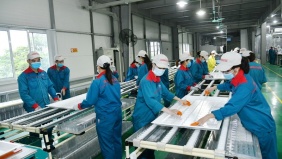 Doanh nghiệp tư nhân cán mốc 1 triệu: Nghịch lý quy mô nhỏ, khó khăn bủa vây