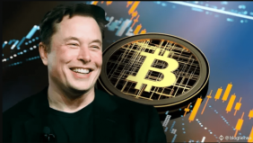 SpaceX lộ kho Bitcoin 1,45 tỷ USD trước thềm IPO