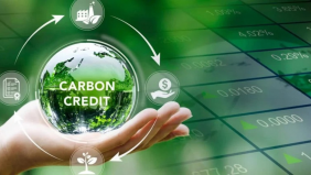 Nhu cầu trao đổi tín chỉ carbon quốc tế đang tăng mạnh