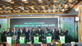 Chính thức vận hành sàn giao dịch carbon trong nước