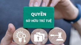Tăng cường chế tài xử lý các hành vi xâm phạm quyền, vi phạm pháp luật về sở hữu trí tuệ