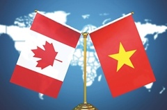 Việt Nam - Canada mở rộng dư địa hợp tác công nghiệp, hướng tới liên kết chuỗi giá trị