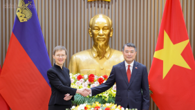 Thủ tướng Lê Minh Hưng hội đàm với Thủ tướng Liechtenstein