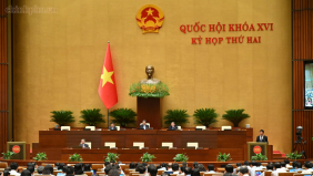 Quốc hội nghe báo cáo về tiếp thu, giải trình và chỉnh lý dự thảo Bộ luật Tố tụng hình sự (sửa đổi)