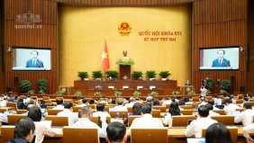 Quốc hội nghe báo cáo 3 dự án luật về đấu giá tài sản, nuôi con nuôi và luật sư