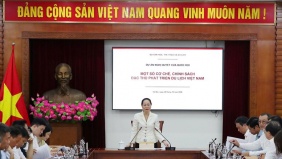 Tạo động lực thúc đẩy du lịch Việt Nam phát triển hiệu quả, bền vững trong giai đoạn mới