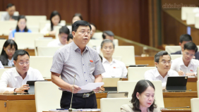 Quyết liệt thực hiện nhiệm vụ về xây dựng vị trí việc làm