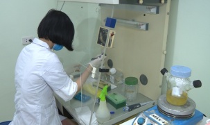 Bộ Kit phát hiện SARS-CoV-2 của Viện Công nghệ sinh học đã thử nghiệm thành công